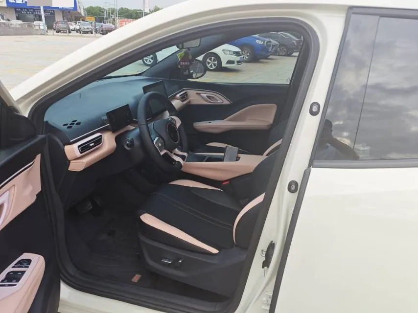 BYD 2025 seagulls 305km free version automatic gear 7