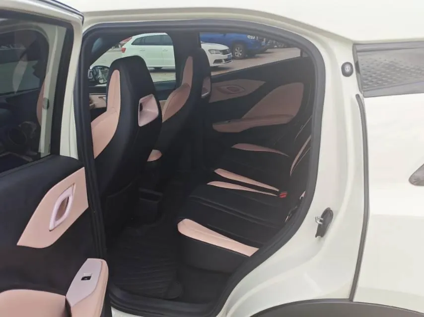 BYD 2025 seagulls 305km free version automatic gear 9