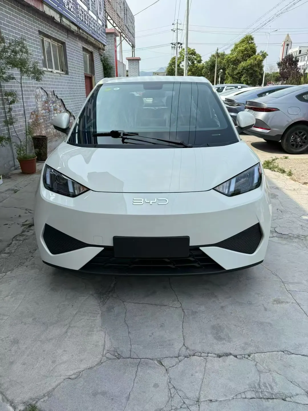 BYD 2025 Seagull Smart Driving Edition 305km Vital Edition Automatic Gear 2