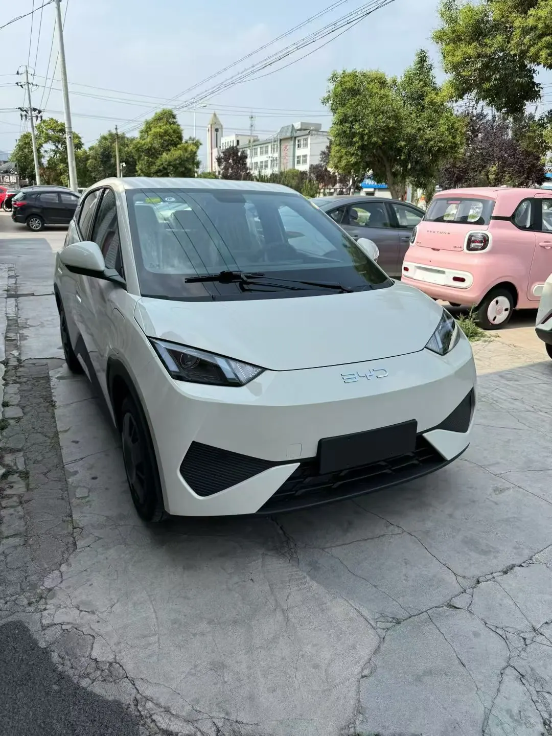 BYD 2025 Seagull Smart Driving Edition 305km Vital Edition Automatic Gear 3