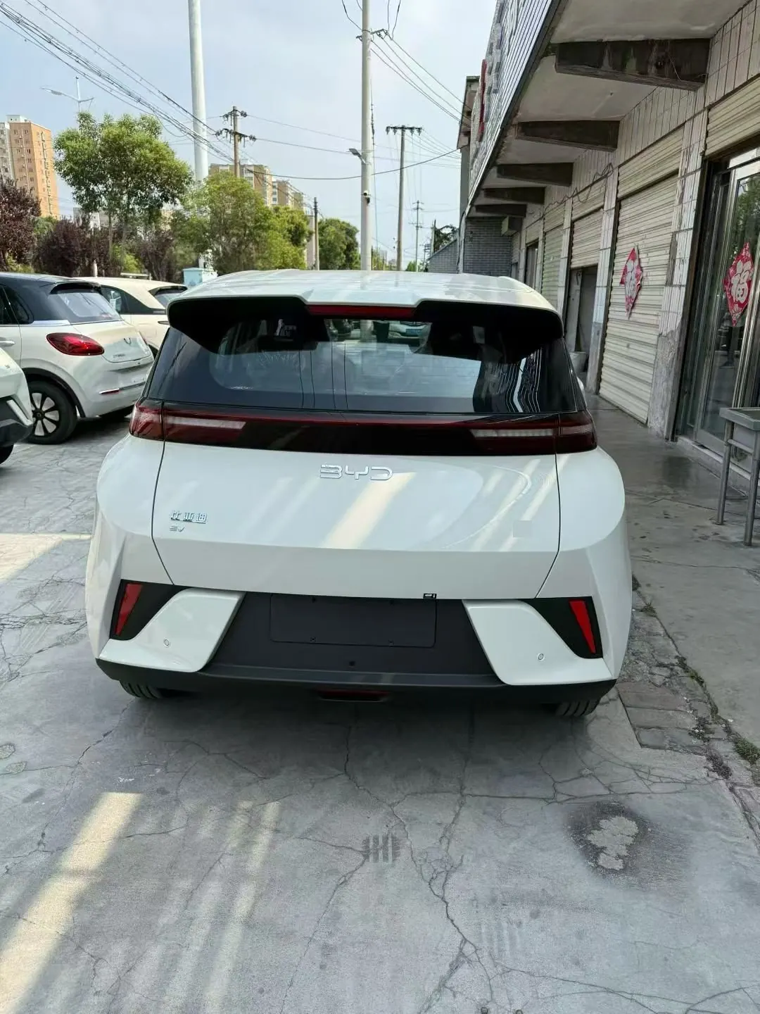 BYD 2025 Seagull Smart Driving Edition 305km Vital Edition Automatic Gear 4
