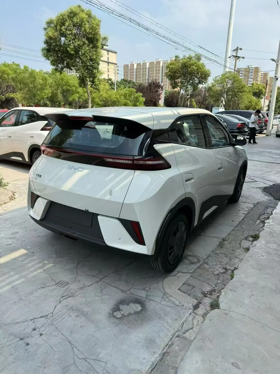 BYD 2025 Seagull Smart Driving Edition 305km Vital Edition Automatic Gear 5