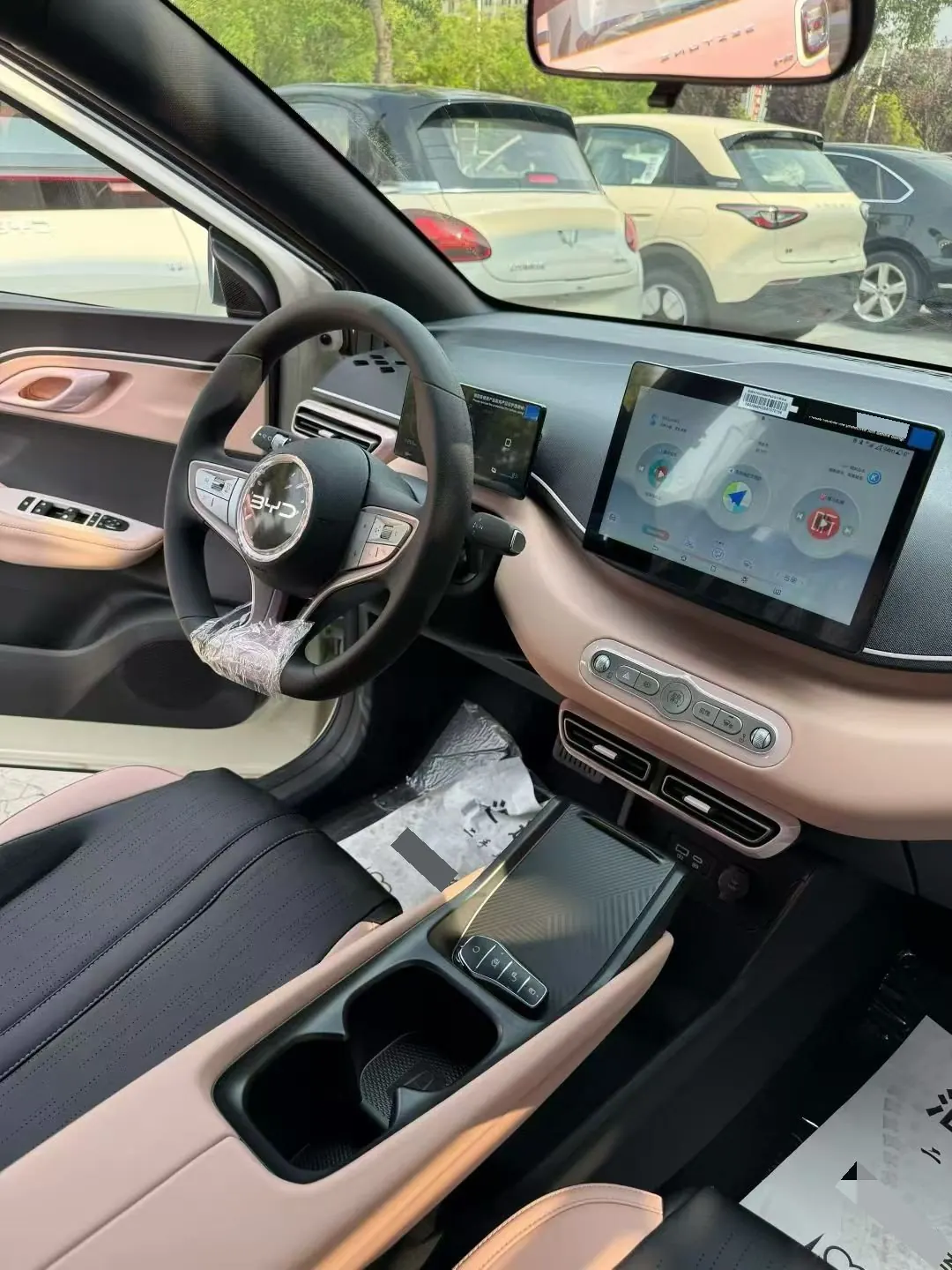 BYD 2025 Seagull Smart Driving Edition 305km Vital Edition Automatic Gear 8