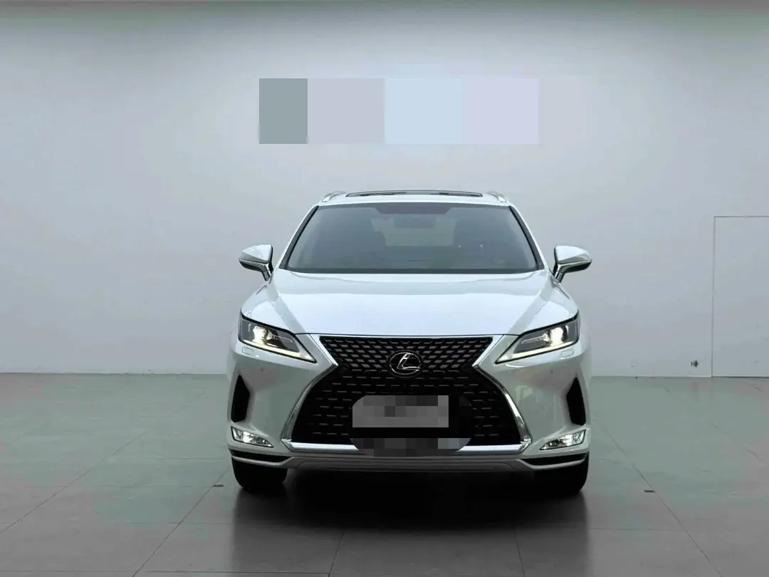 Lexus RX (Imported) 2020 RX300 2.0T Two-Drive Elite Edition (Revised) Automatic Gear 2