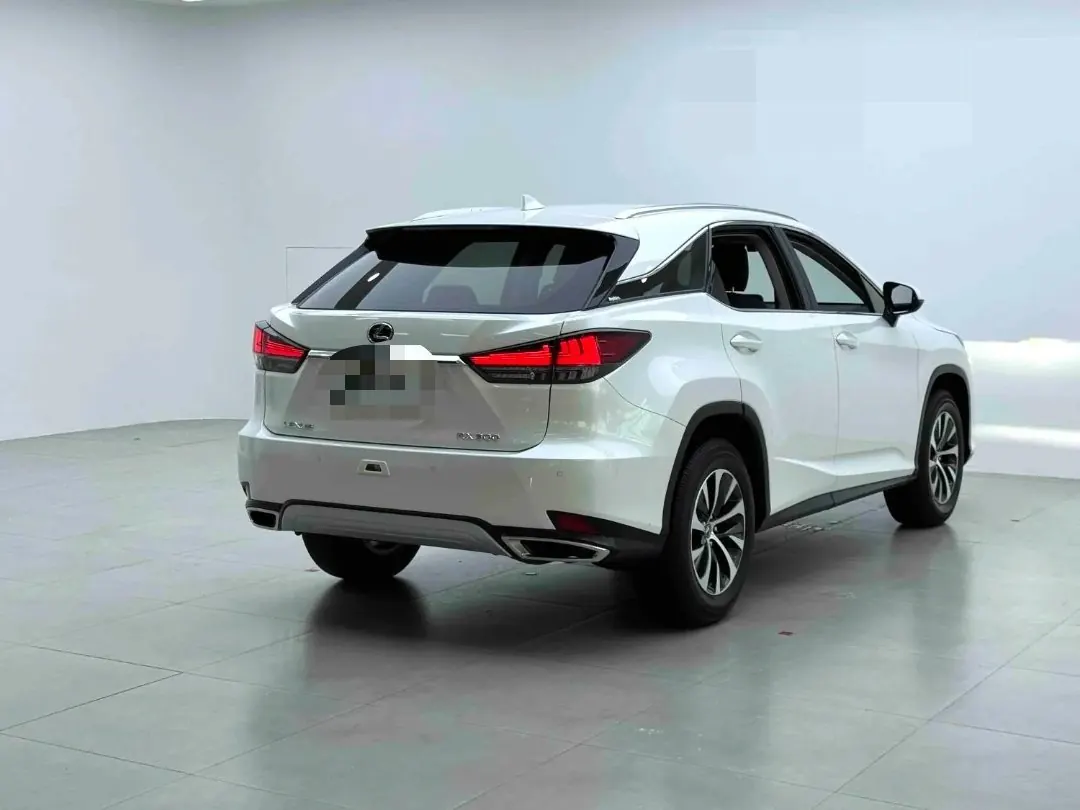 Lexus RX (Imported) 2020 RX300 2.0T Two-Drive Elite Edition (Revised) Automatic Gear 3