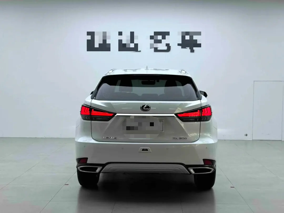Lexus RX (Imported) 2020 RX300 2.0T Two-Drive Elite Edition (Revised) Automatic Gear 4