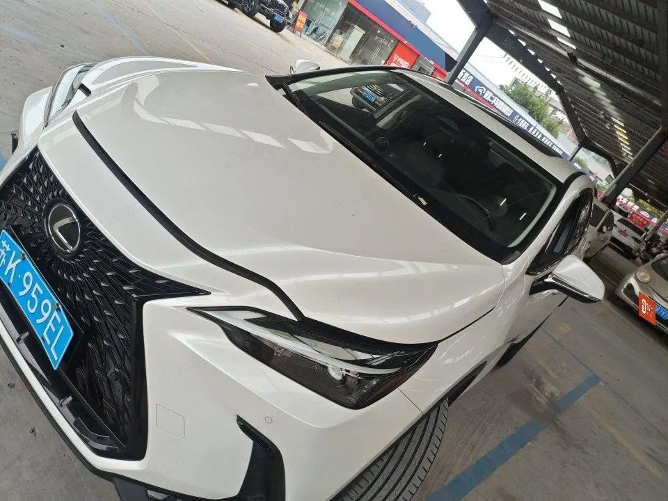 Lexus NX (Imported) 2022 NX260 2.5 Chuangyue Edition Automatic Gear 2