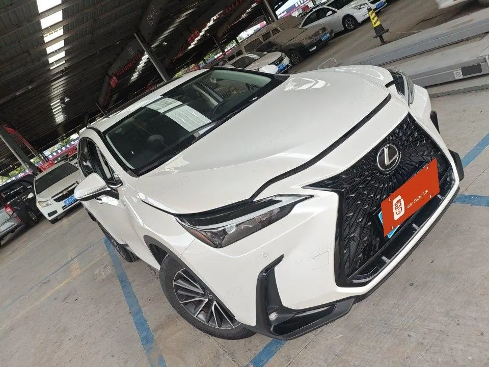 Lexus NX (Imported) 2022 NX260 2.5 Chuangyue Edition Automatic Gear 5