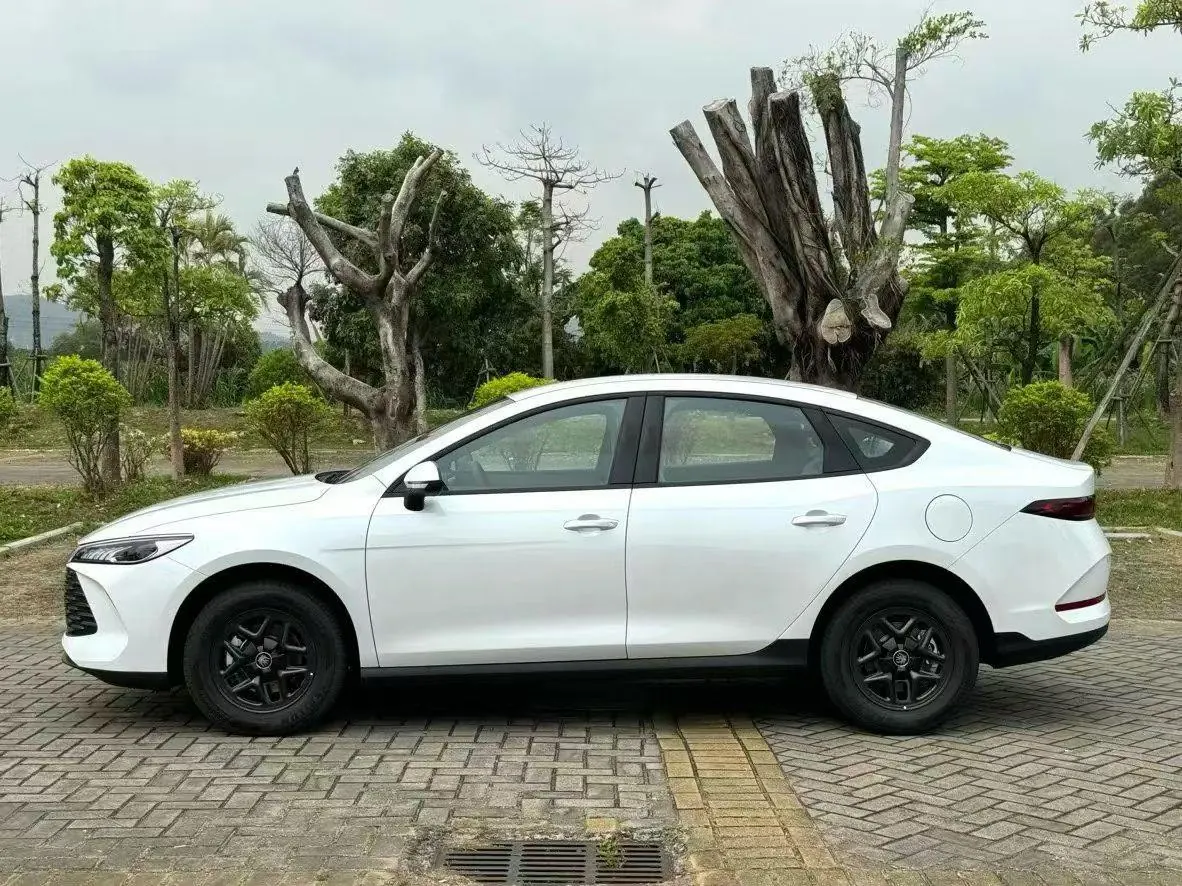 BYD 2026 Qin PLUS DM-i 1.5 CVT 128km Entry-Level Automatic 4