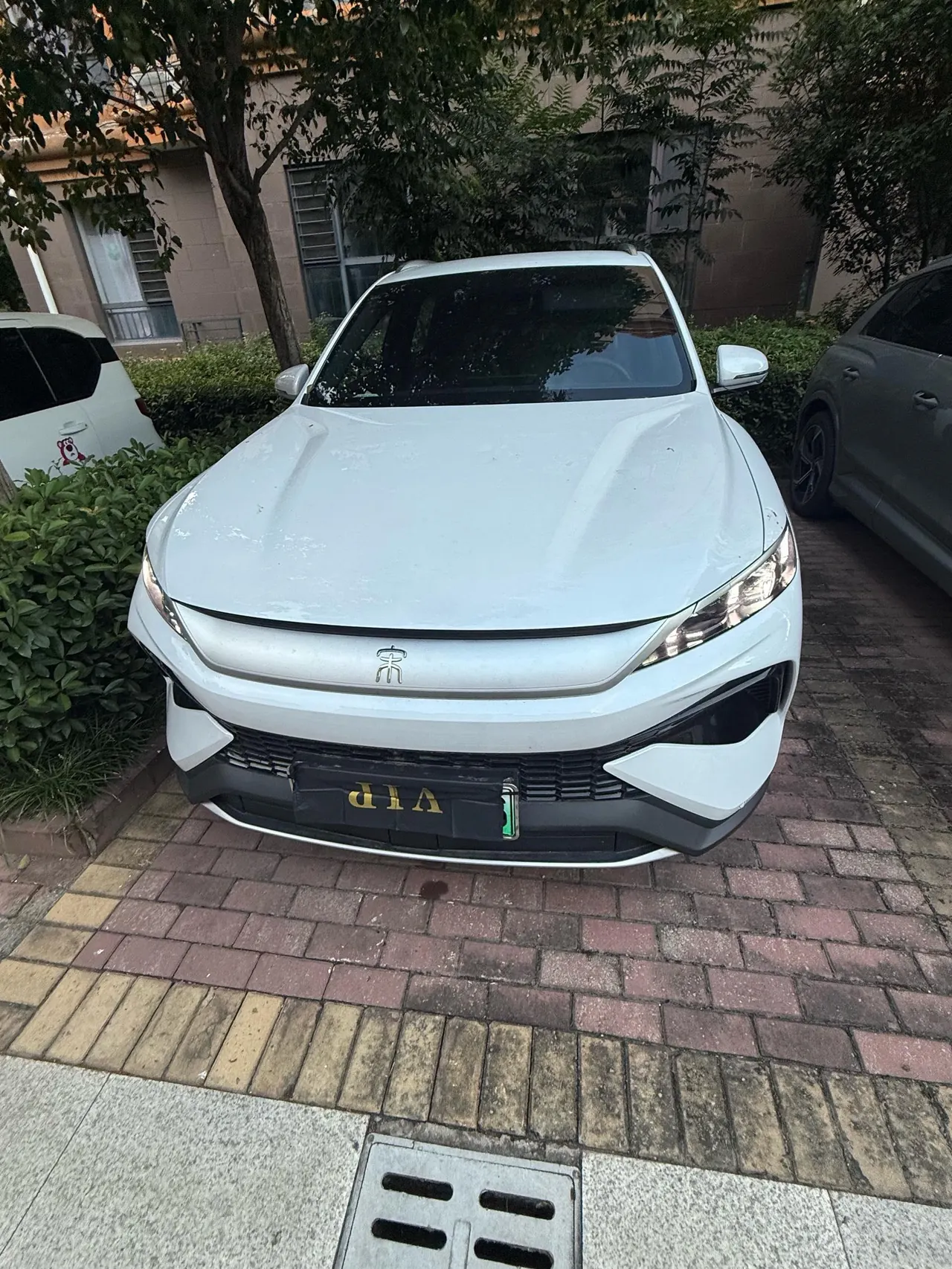 BYD Song Pro New Energy 2026 Song Pro DM-i 1.5 Stepless 133KM Exceed Automatic Gear 8