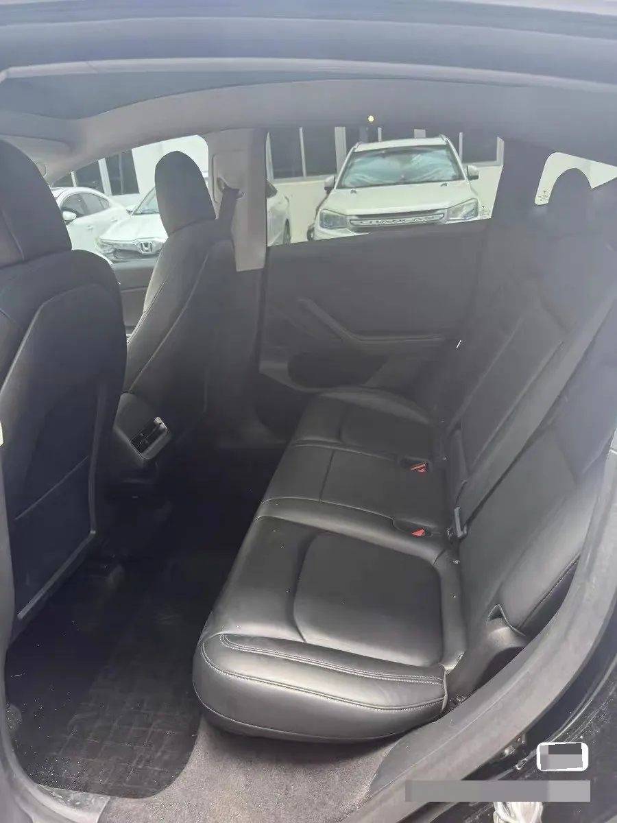 Tesla 2021 Model Y Standard Endurance Rear Drive Automatic Gear 3