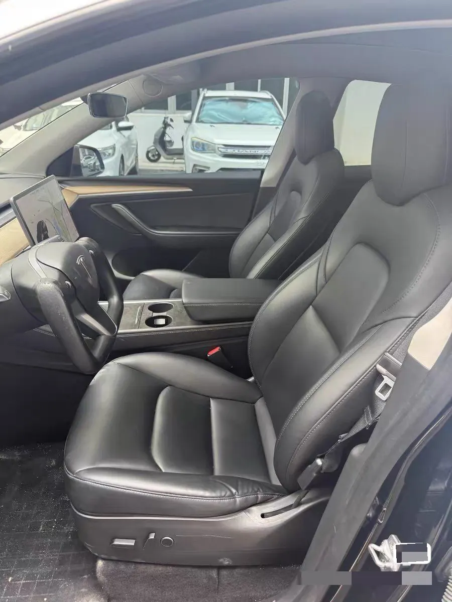 Tesla 2021 Model Y Standard Endurance Rear Drive Automatic Gear 4
