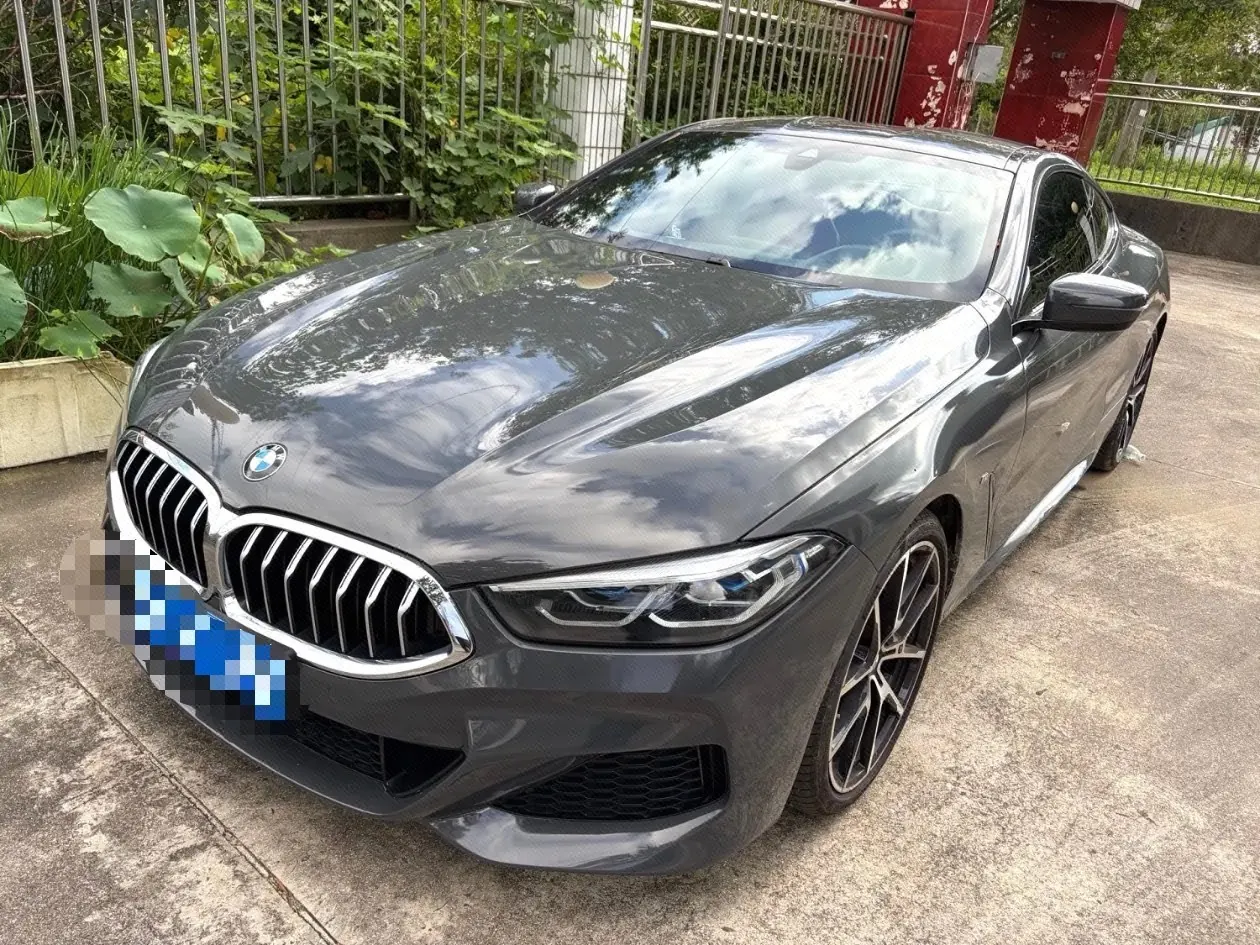 BMW 8 Series (Imported) 2021 840i Two-door Coupe 3.0T M Sports Suit Automatic Gear - View 1