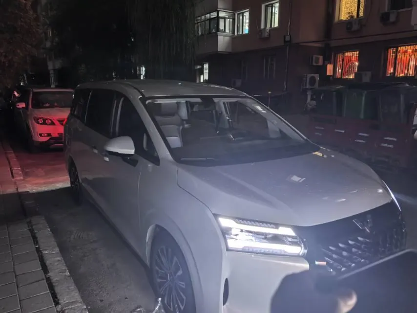 WuLing 2025 Starlight 730 1.5 Stepless 125km Luxury Automatic Transmission 2