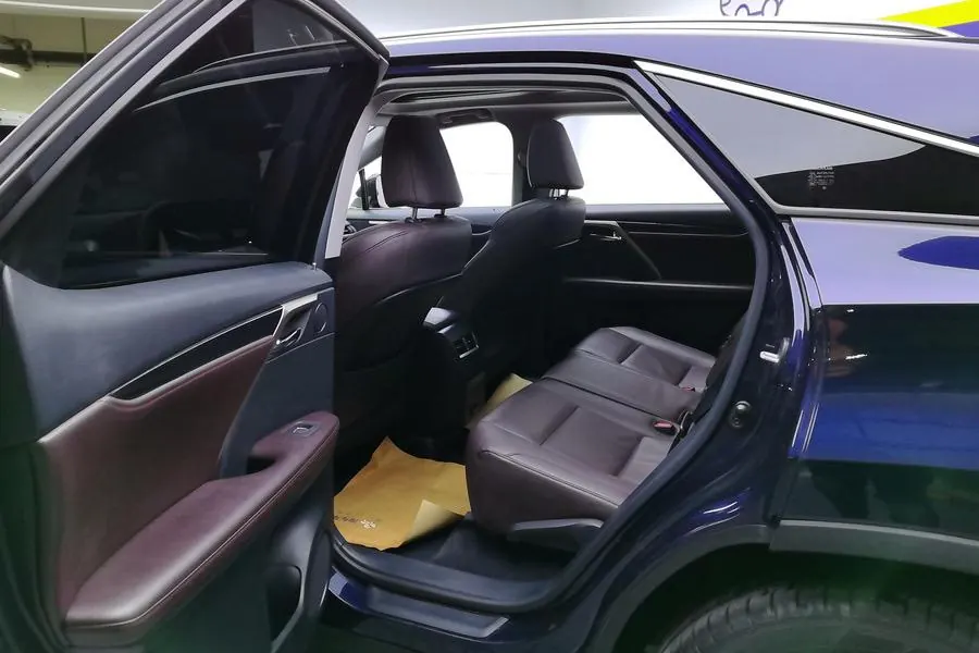 Lexus RX (Imported) 2020 RX300 2.0T Four-wheel Drive Elegant Edition (Modified) Automatic Gear 10