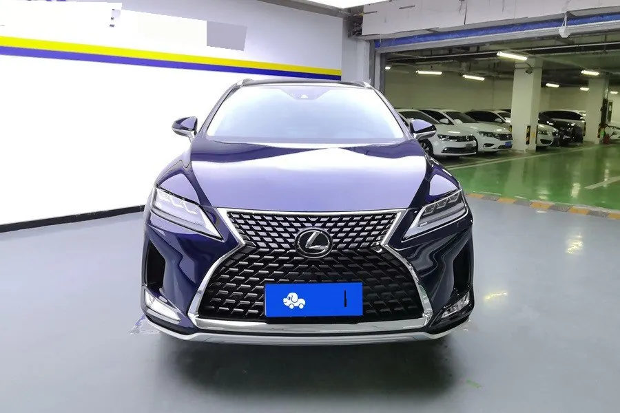 Lexus RX (Imported) 2020 RX300 2.0T Four-wheel Drive Elegant Edition (Modified) Automatic Gear 3
