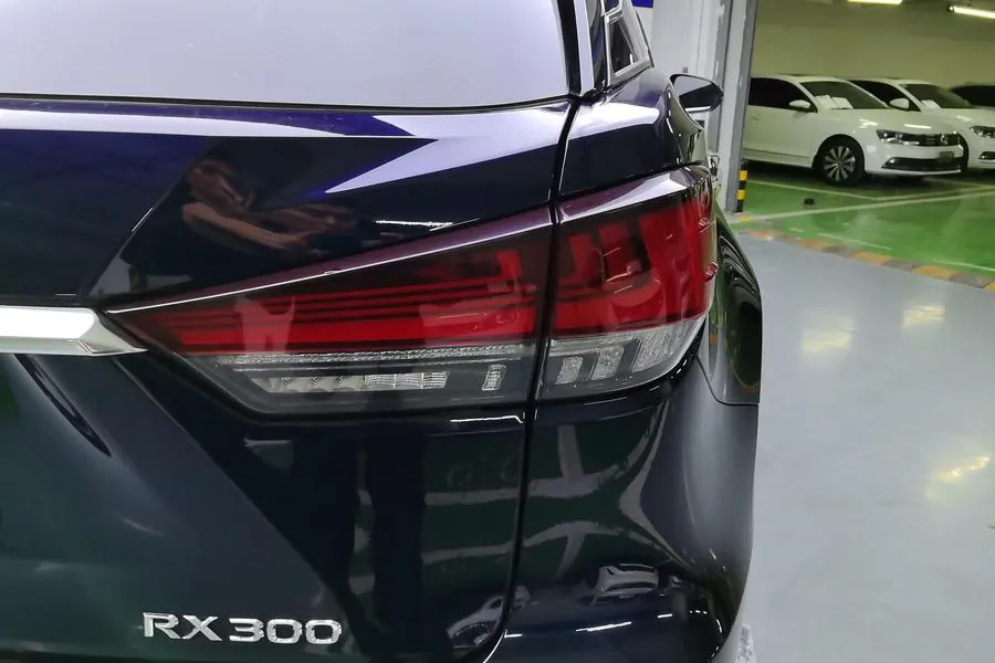 Lexus RX (Imported) 2020 RX300 2.0T Four-wheel Drive Elegant Edition (Modified) Automatic Gear 5