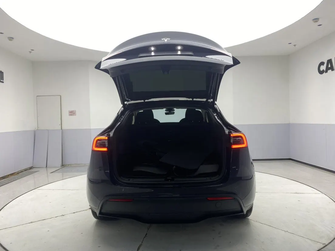 Tesla 2024 Model Y rear-wheel drive version automatic transmission 7