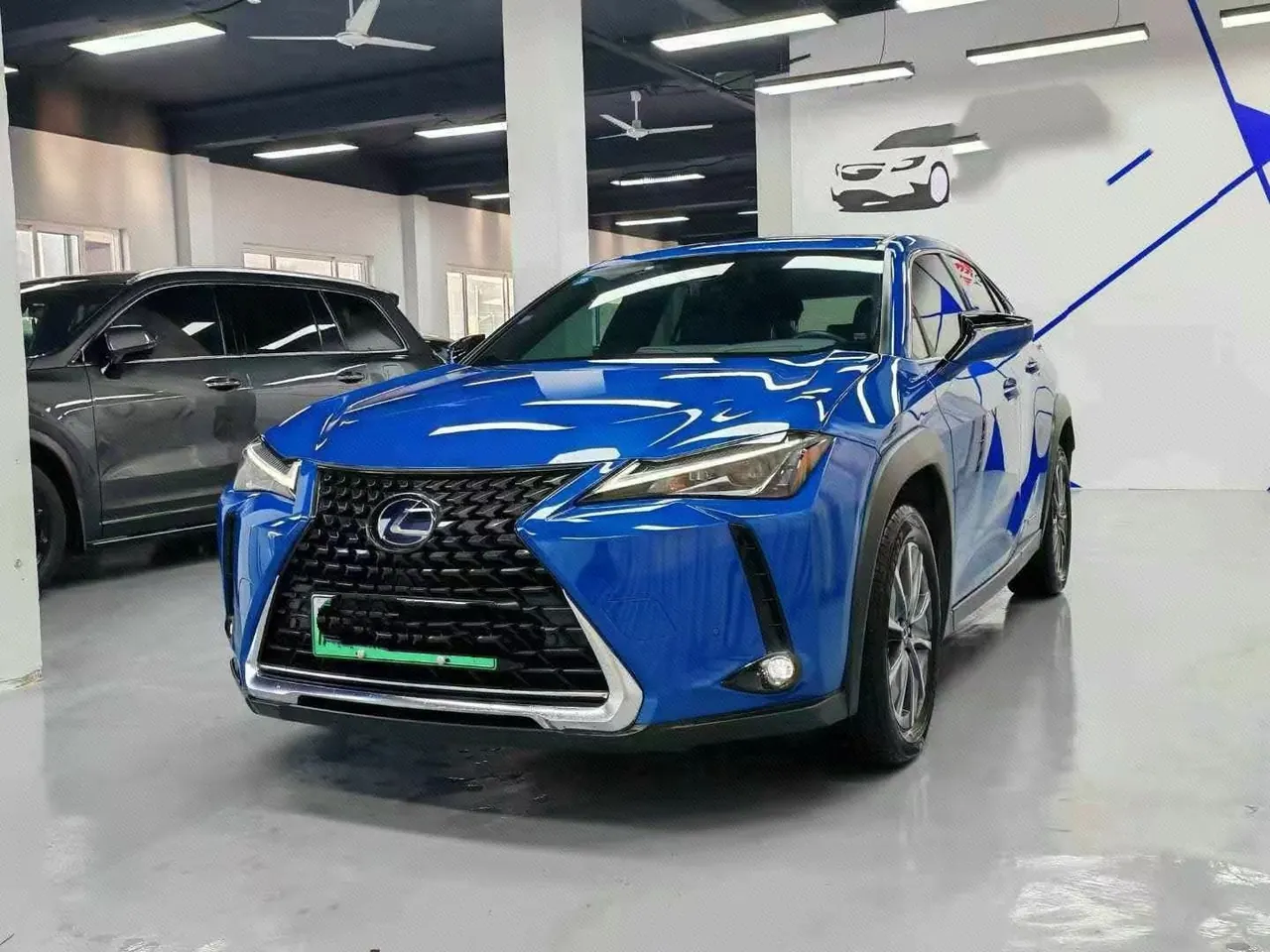 Lexus UX New Energy (Imported) 2020 UX 300e Pure Yue Edition Automatic Gear - View 1