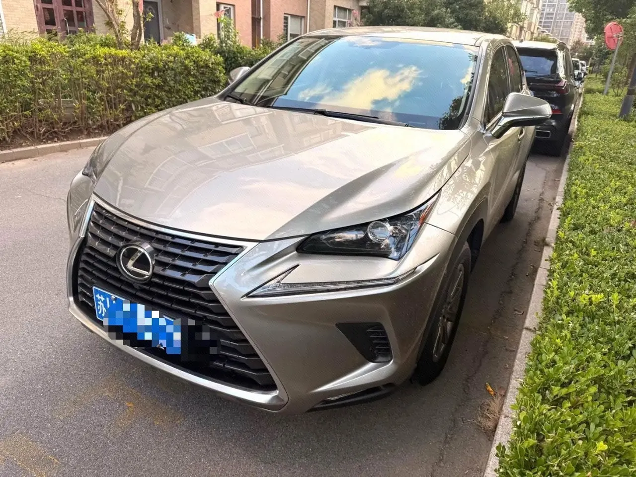 打开图片灯箱:Lexus NX (Imported) 2020 NX200 2.0 Stepless Front Edition Automatic Gear