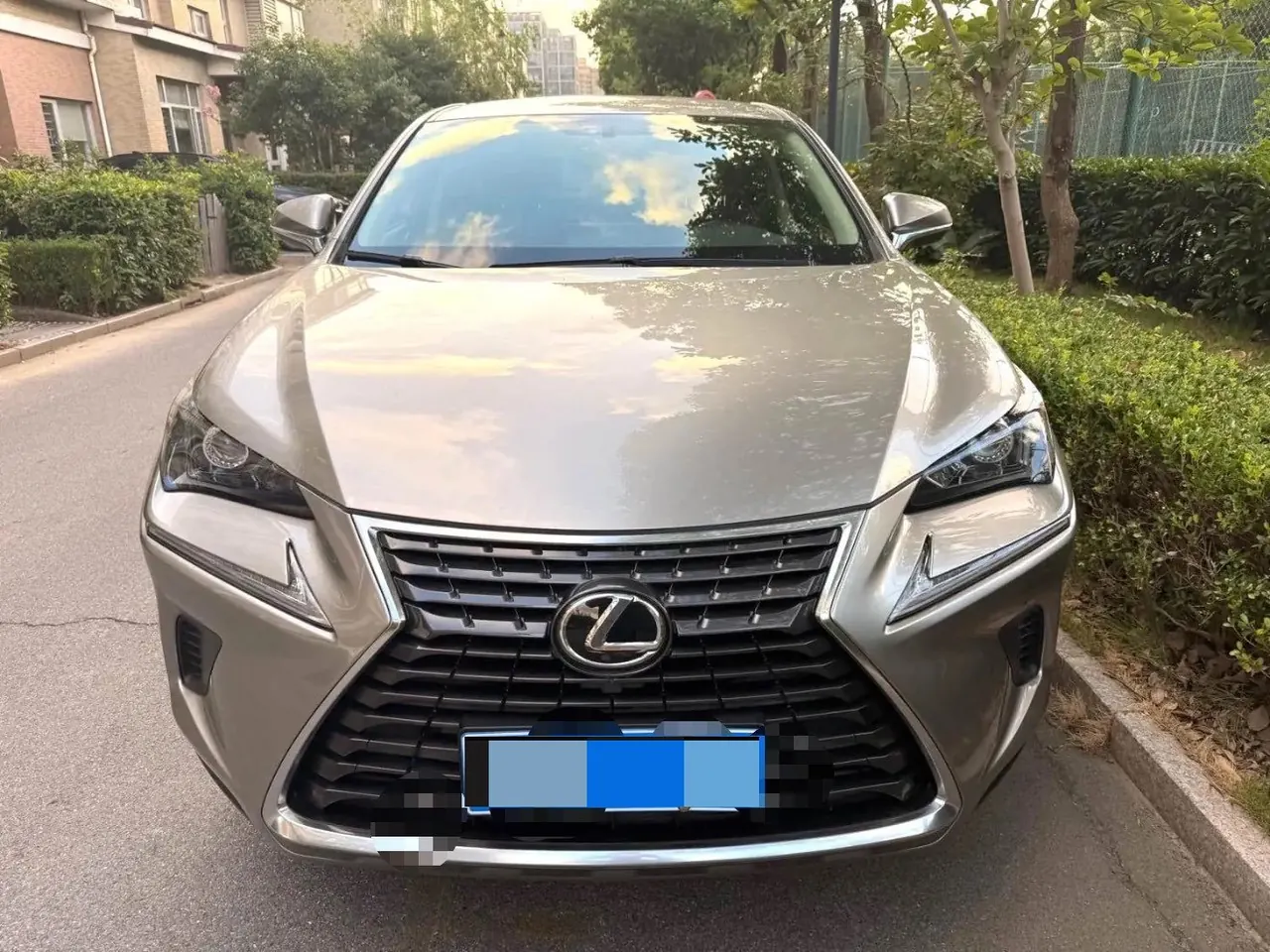 Lexus NX (Imported) 2020 NX200 2.0 Stepless Front Edition Automatic Gear 2
