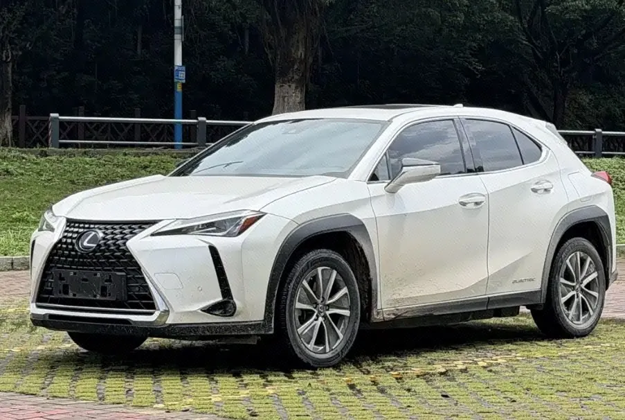 Lexus UX New Energy (Imported) 2020 UX 300e Pure and Enjoy Edition Automatic Gear - View 1