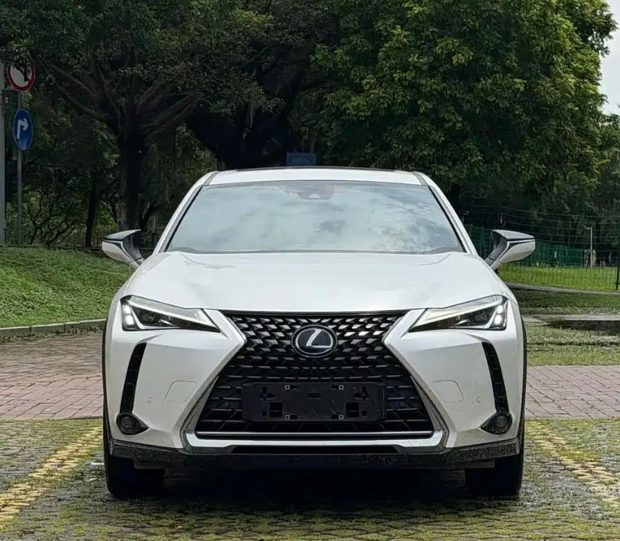 Lexus UX New Energy (Imported) 2020 UX 300e Pure and Enjoy Edition Automatic Gear 2