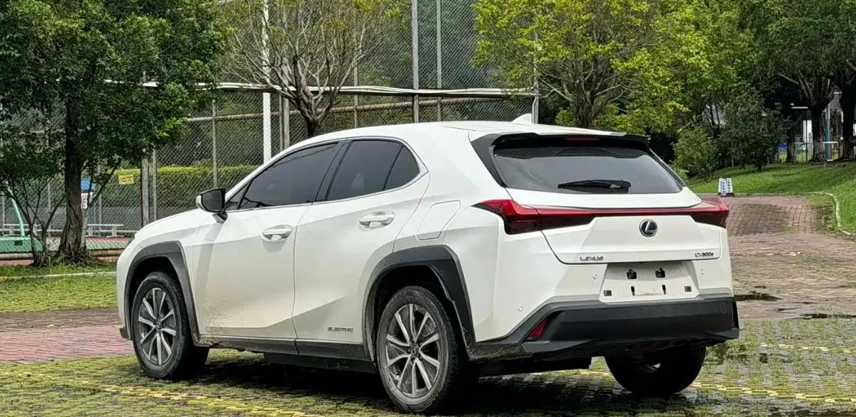 Lexus UX New Energy (Imported) 2020 UX 300e Pure and Enjoy Edition Automatic Gear 3