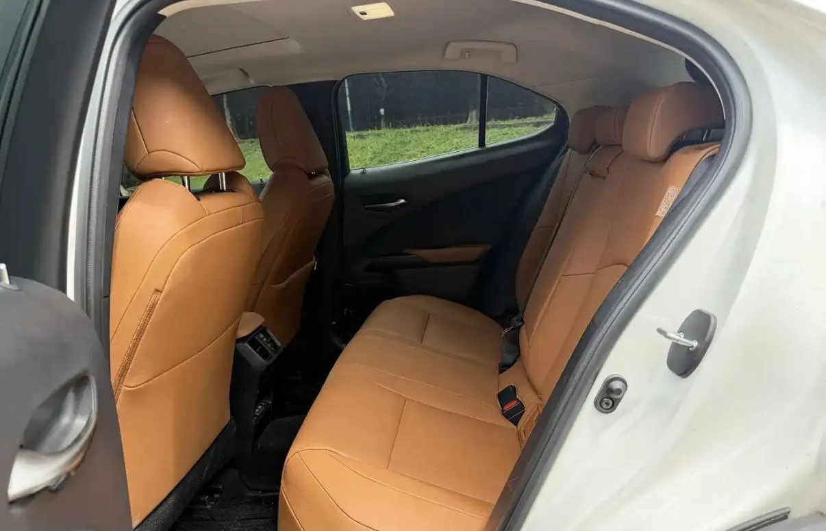 Lexus UX New Energy (Imported) 2020 UX 300e Pure and Enjoy Edition Automatic Gear 5