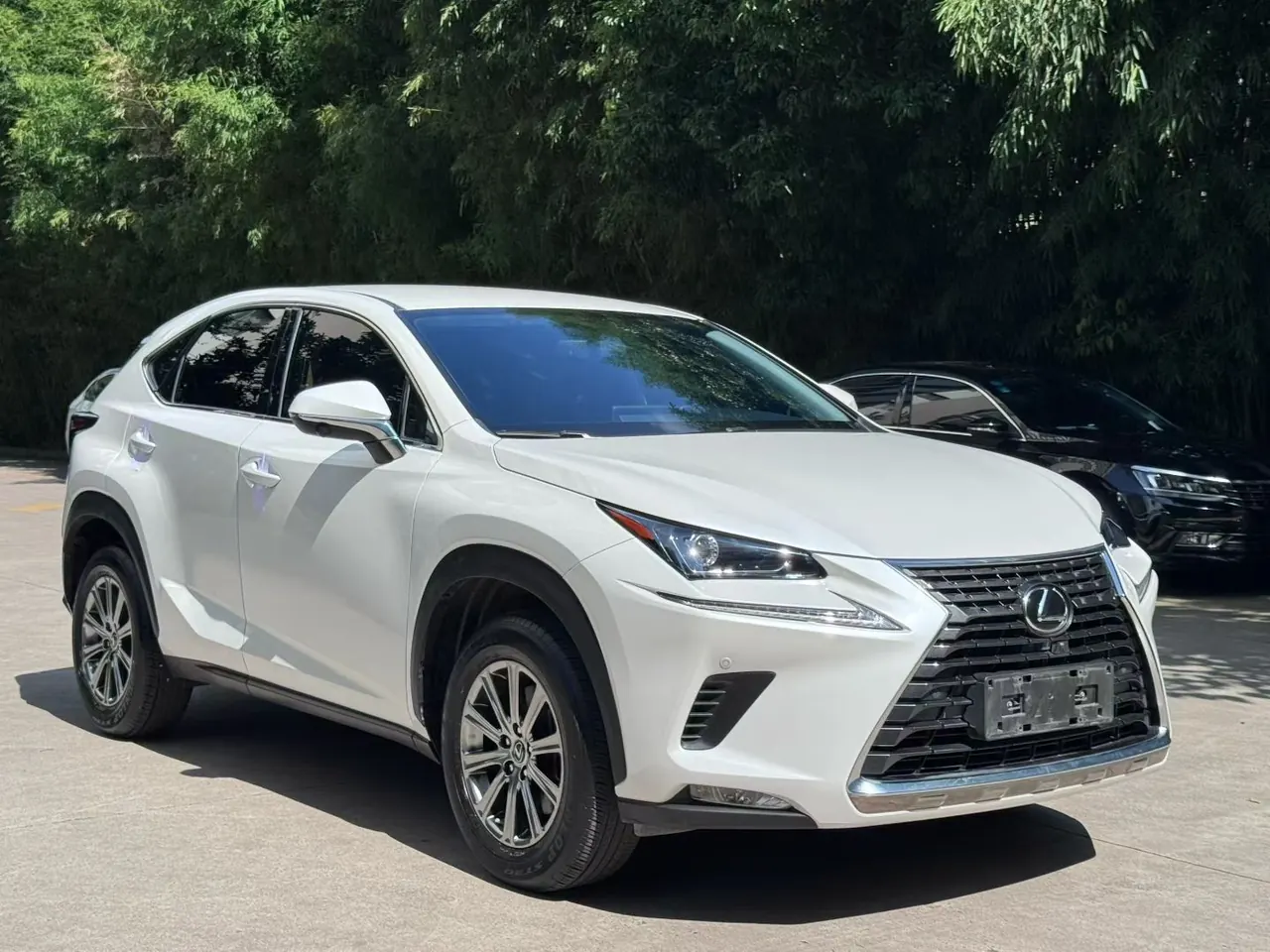 Lexus NX (Imported) 2020 NX200 2.0 Stepless Front Edition Automatic Gear 3