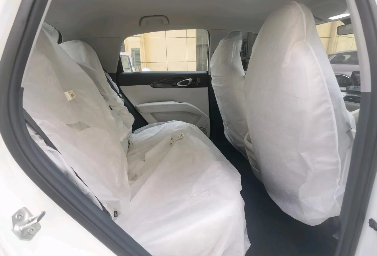 Geely 2026 Star Wish 310km Youth Edition Automatic Gear 9