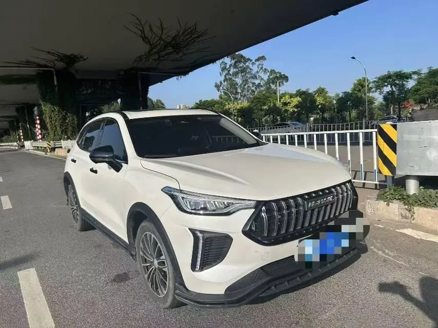 Haval 2023 red rabbit 1.5T dynamic automatic gear 3