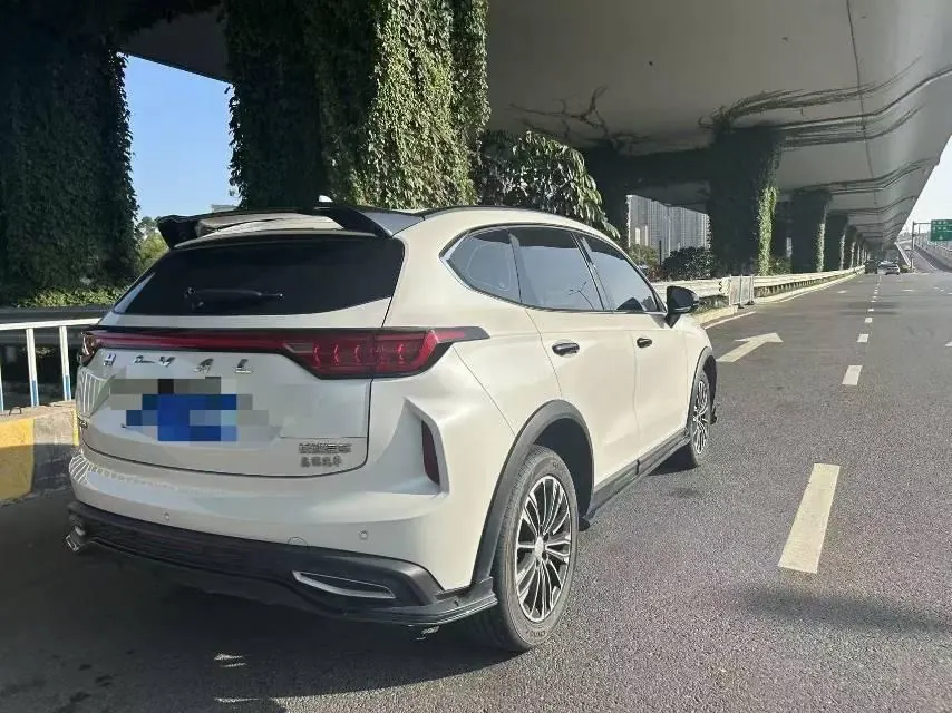 Haval 2023 red rabbit 1.5T dynamic automatic gear 5