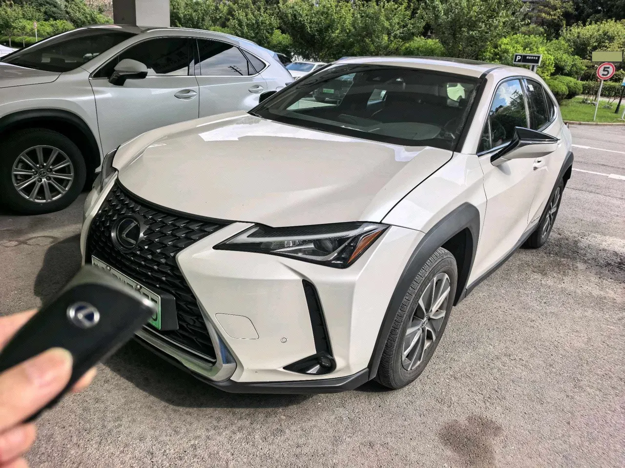 Lexus UX New Energy (Imported) 2020 UX 300e Pure Yue Edition Automatic Gear - View 1