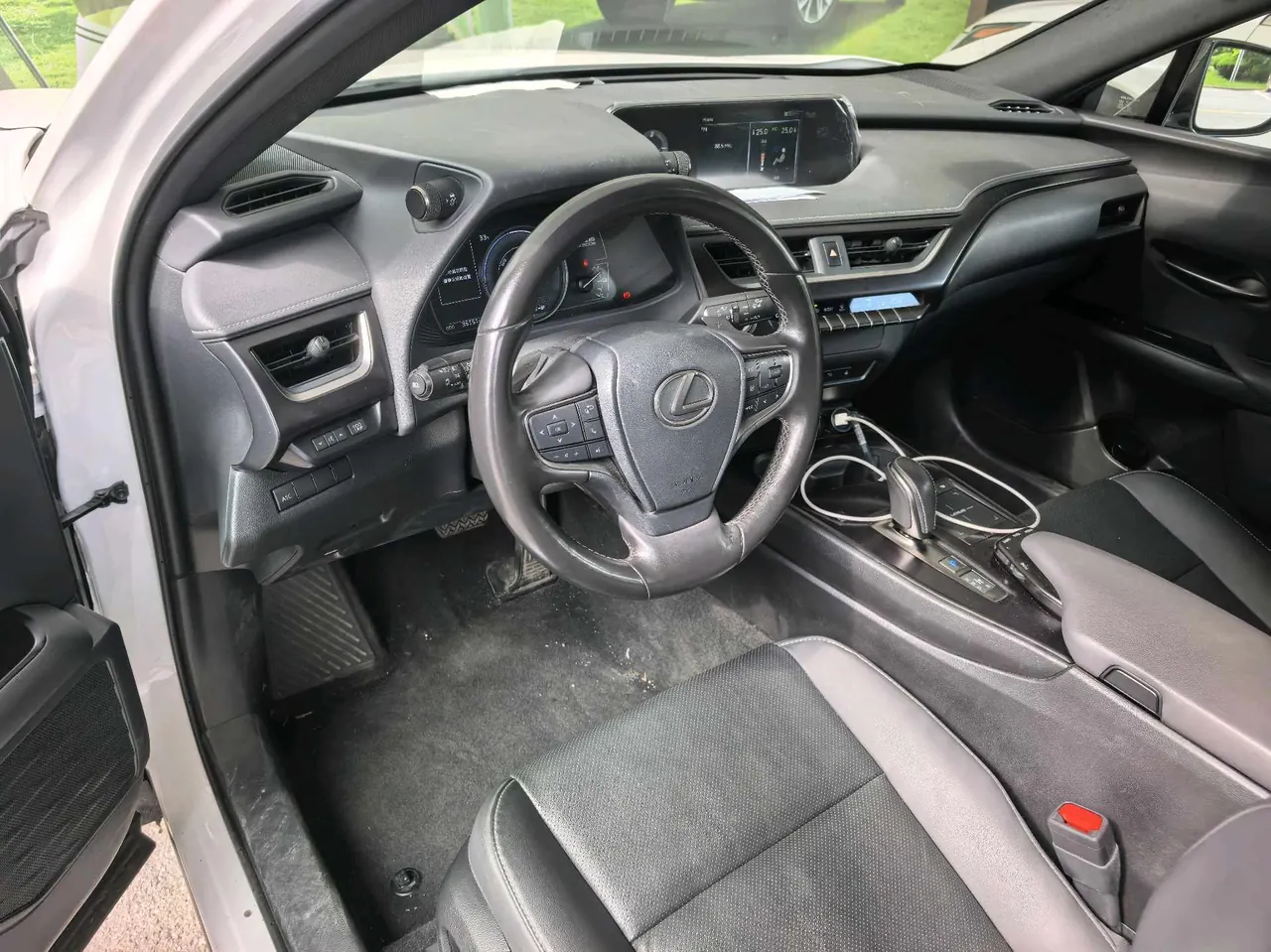 Lexus UX New Energy (Imported) 2020 UX 300e Pure Yue Edition Automatic Gear 4