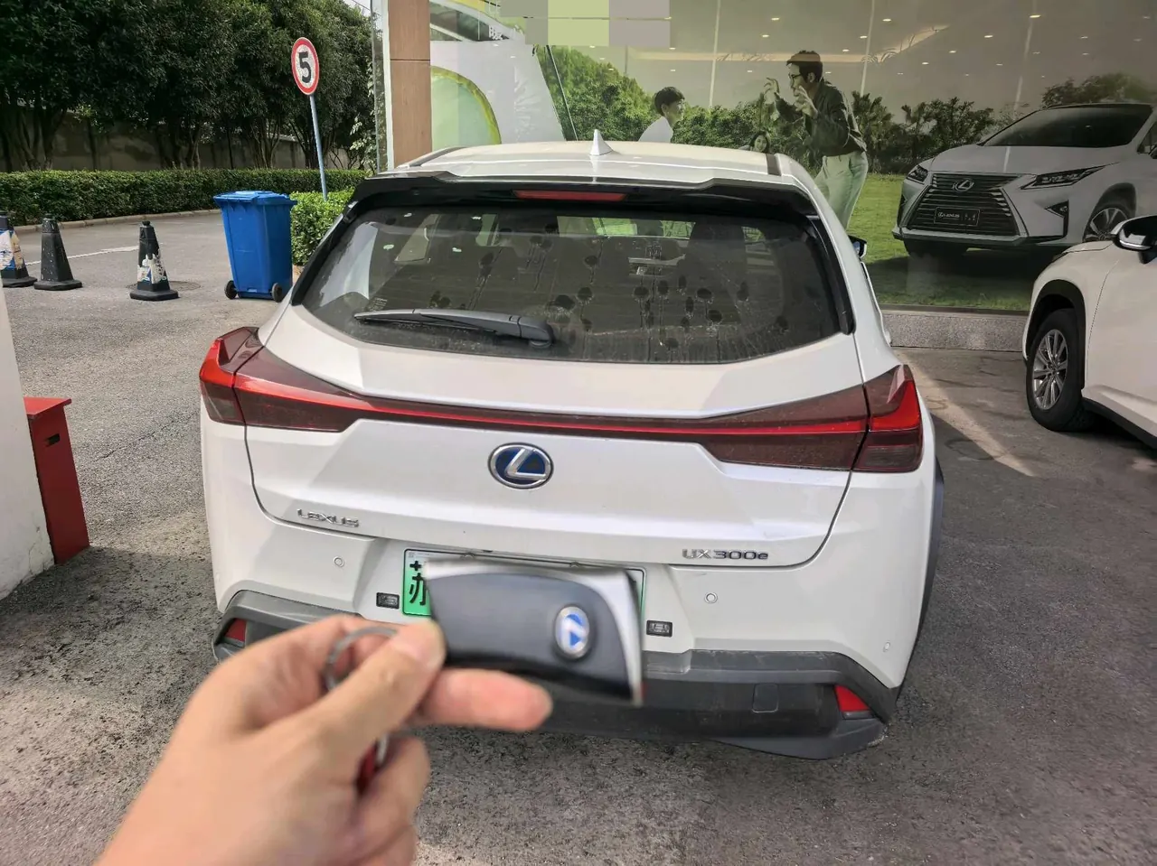 Lexus UX New Energy (Imported) 2020 UX 300e Pure Yue Edition Automatic Gear 6