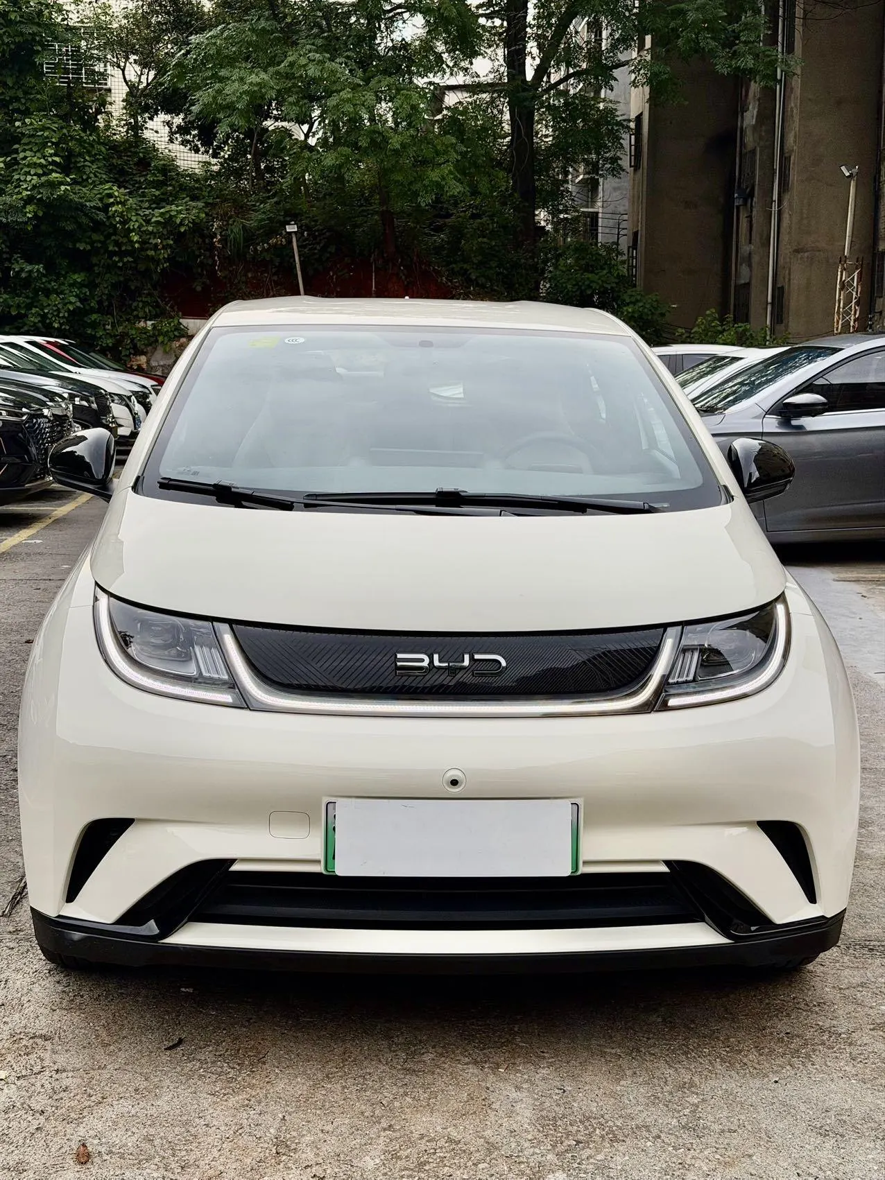 BYD 2025 Dolphins 420km Free Edition Automatic 2