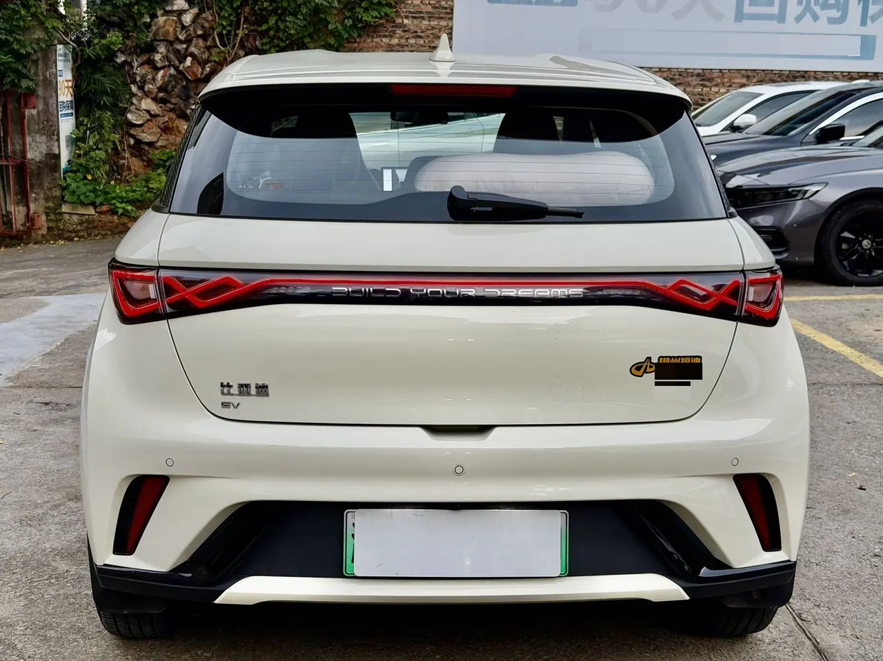 BYD 2025 Dolphins 420km Free Edition Automatic 8