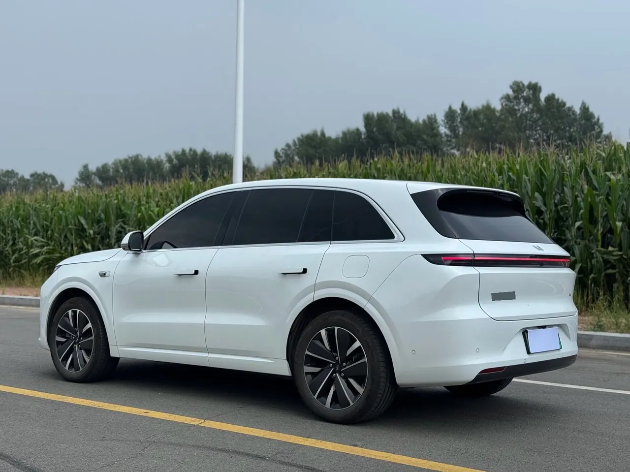 Li 2025 L6 Pro Intelligent Rejuvenation Automatic Gear 5