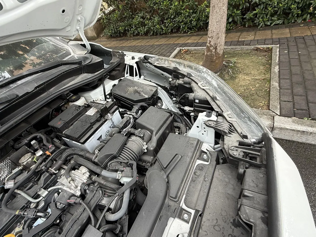 Toyota 2025 Front Landa 2.0 Stepless Elite plus Edition Automatic Gear 4