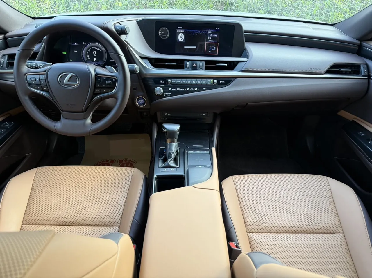 Lexus ES (Imported) 2020 ES300h 2.5 Stepless Excellence Edition Automatic Gear 6