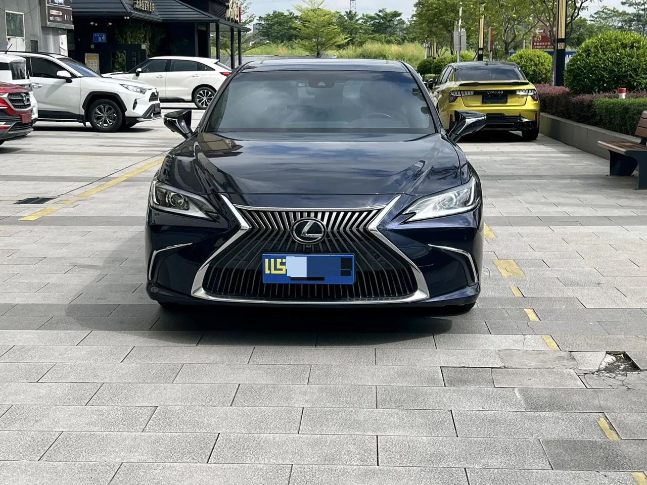 Lexus ES (Imported) 2020 ES200 2.0 Stepless Premium Edition Automatic Gear 2