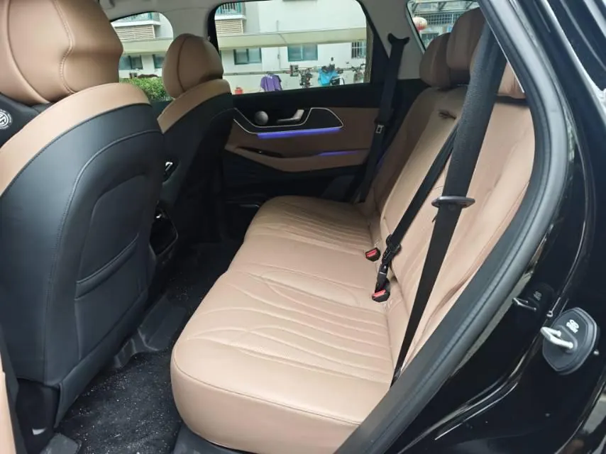 Chery 2024 Ruihu 8 L 2.0T Two-Drive Changhong Edition 5-seat Automatic Gear 6