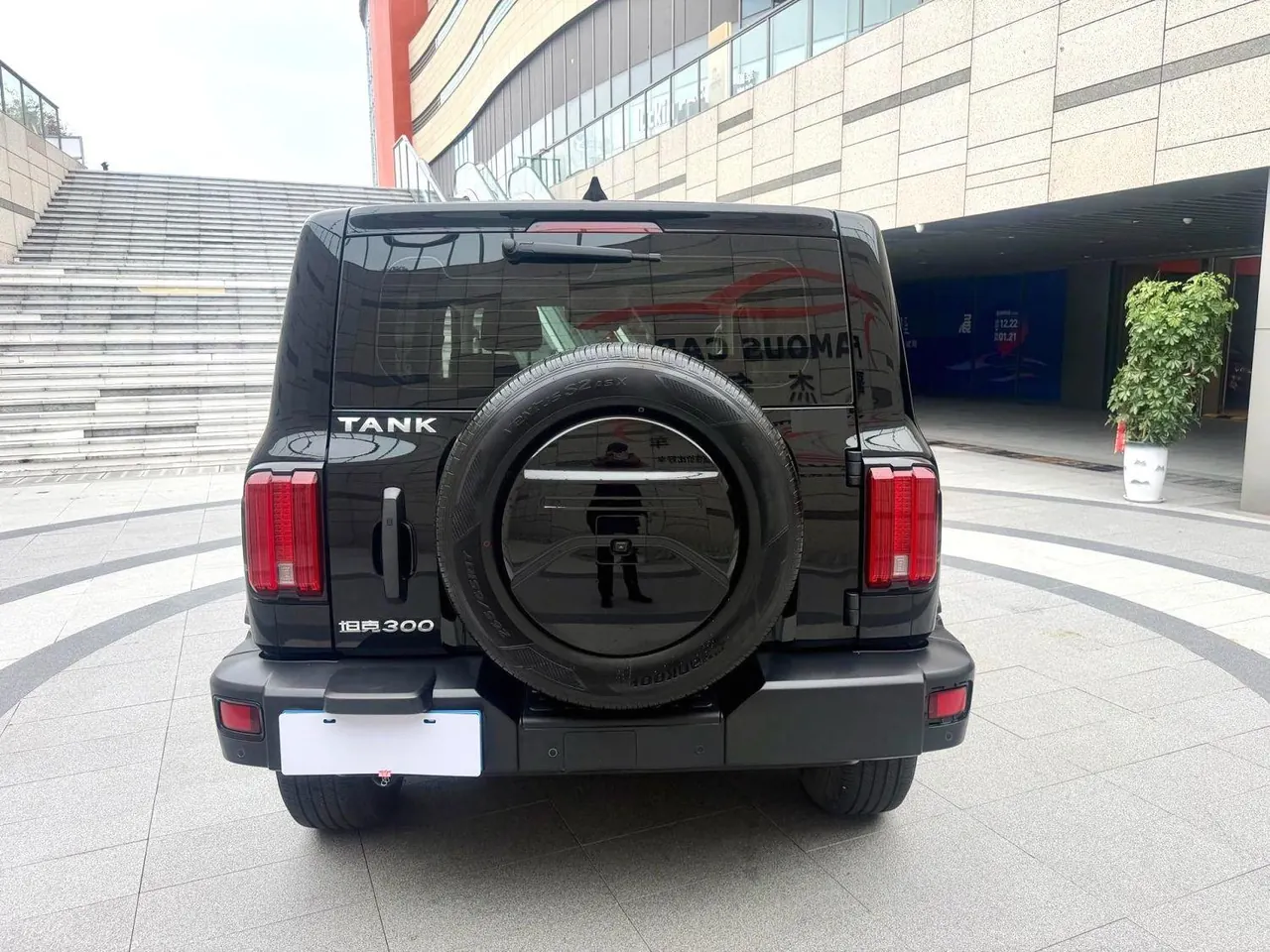 Tank 2021 Tank 300 2.0T Off-Road Explorer Automatic 10