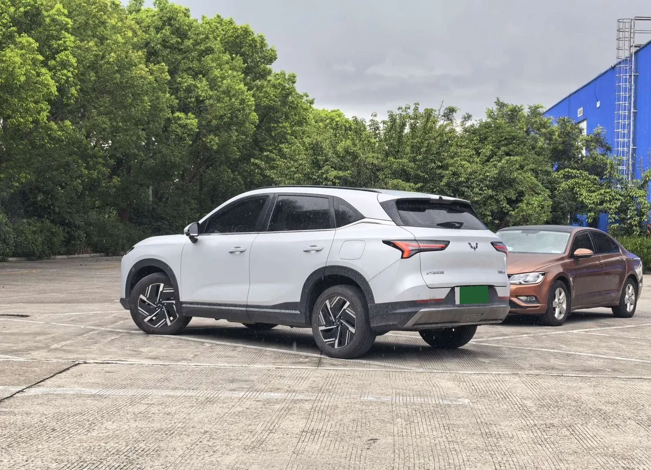 WuLing 2024 Starlight S 1.5 Stepless 130km Pilot Automatic Gear 3