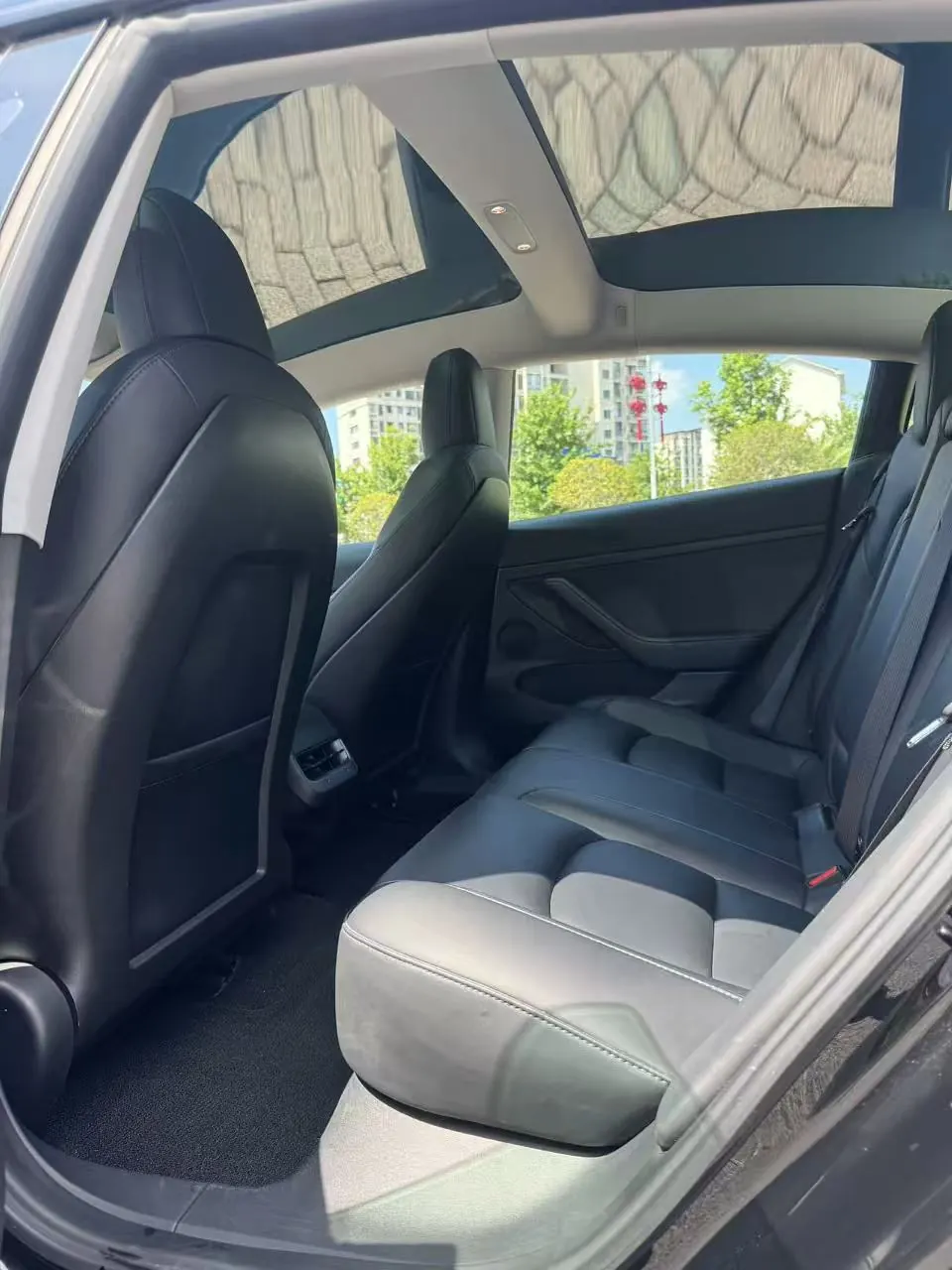 Tesla 2021 Model 3 Standard Endurance Rear Drive Upgraded Automatic Gear 5