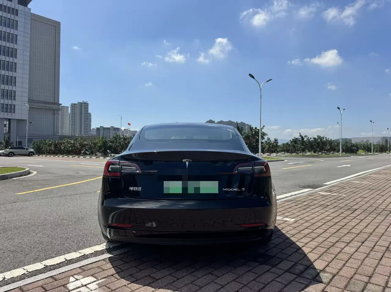 Tesla 2021 Model 3 Standard Endurance Rear Drive Upgraded Automatic Gear 8