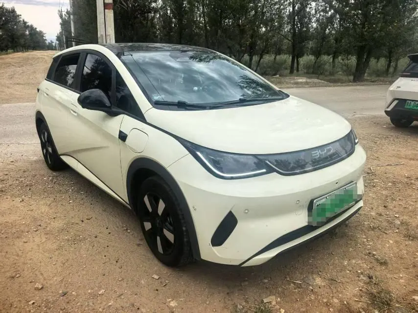 BYD 2025 Dolphin Smart Driving 410km Fashion Automatic Gear 2