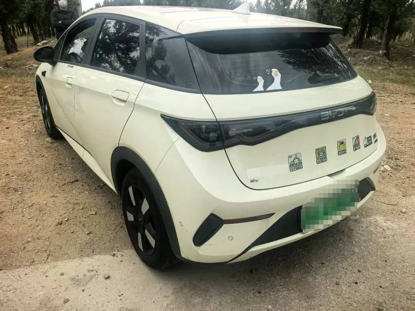 BYD 2025 Dolphin Smart Driving 410km Fashion Automatic Gear 3