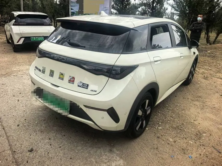 BYD 2025 Dolphin Smart Driving 410km Fashion Automatic Gear 4